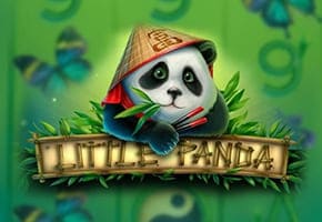 Little Panda